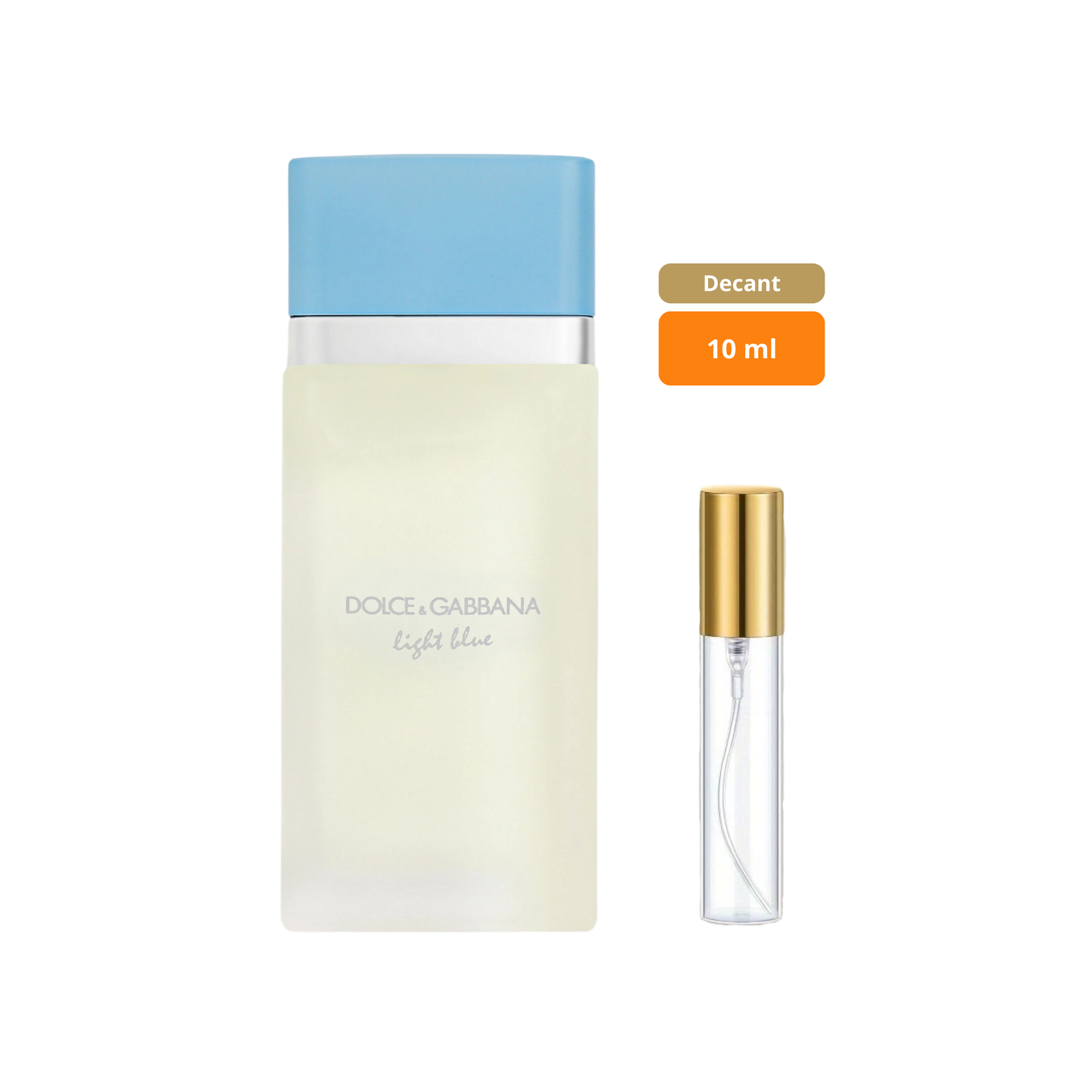 Dolce & Gabbana Light Blue pour Femme