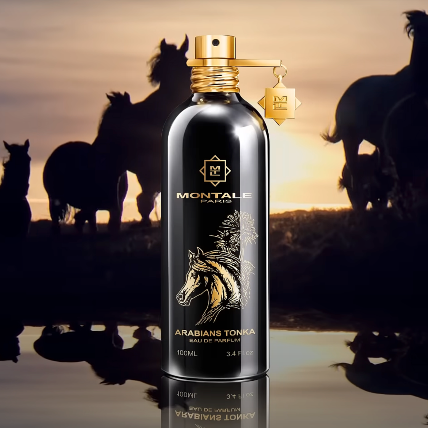 Montale Arabians Tonka