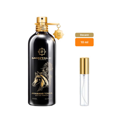 Montale Arabians Tonka